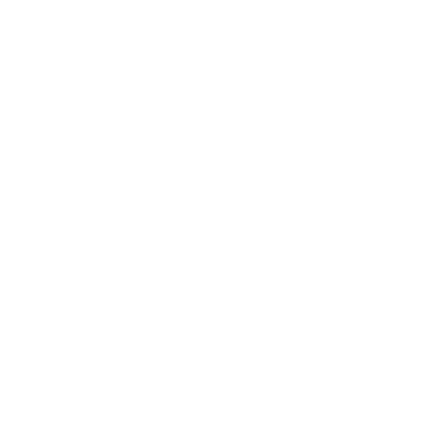 XOPPOX VIN1060Plus